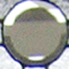Spettertransom